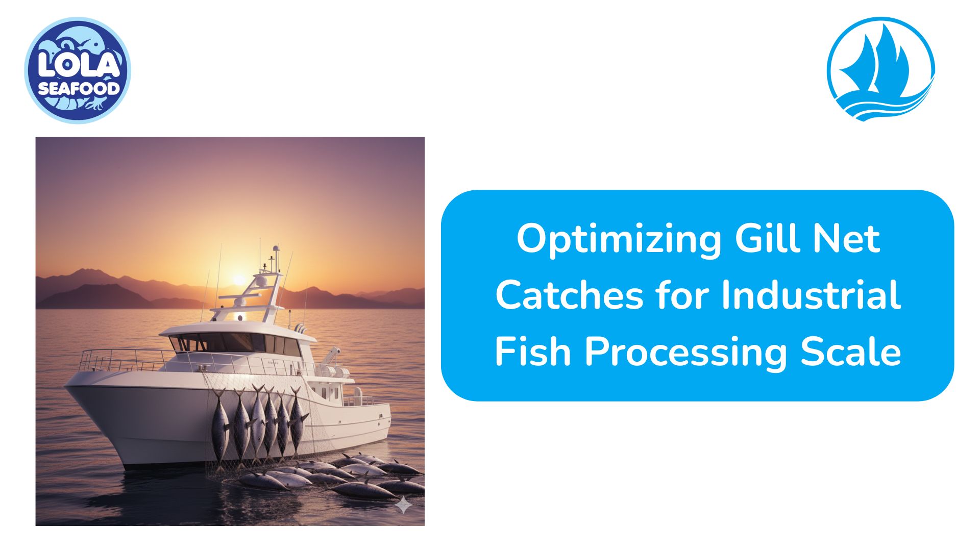 Optimizing Gill Net Catches for Industrial Fish Processing Scale